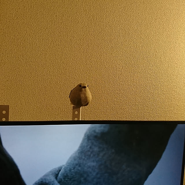 Moeさんの実例写真