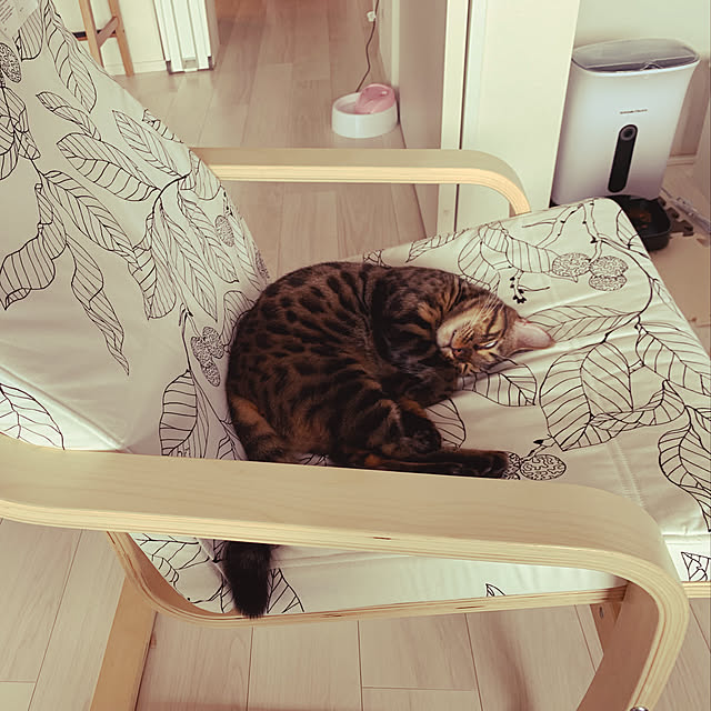 Risaさんの実例写真