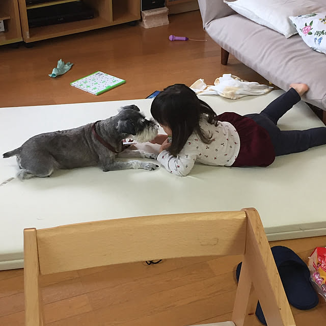 gomamiさんの実例写真