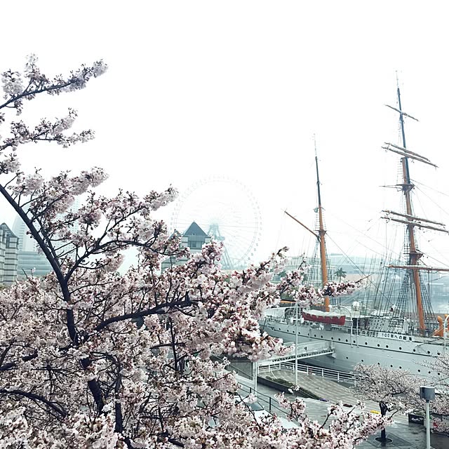 実例写真