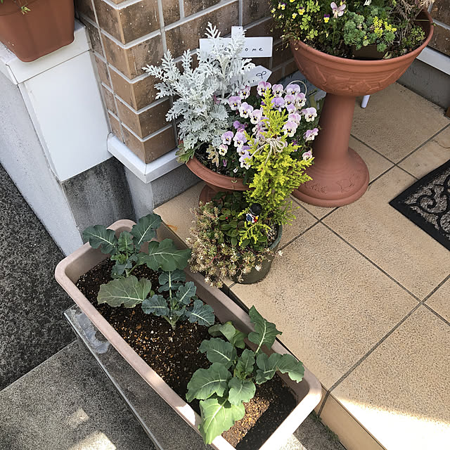 pikarunさんの実例写真