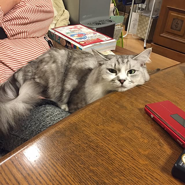 yuki0511さんの実例写真