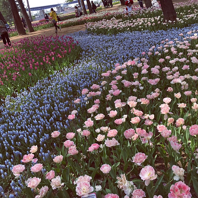 pero0516さんの実例写真