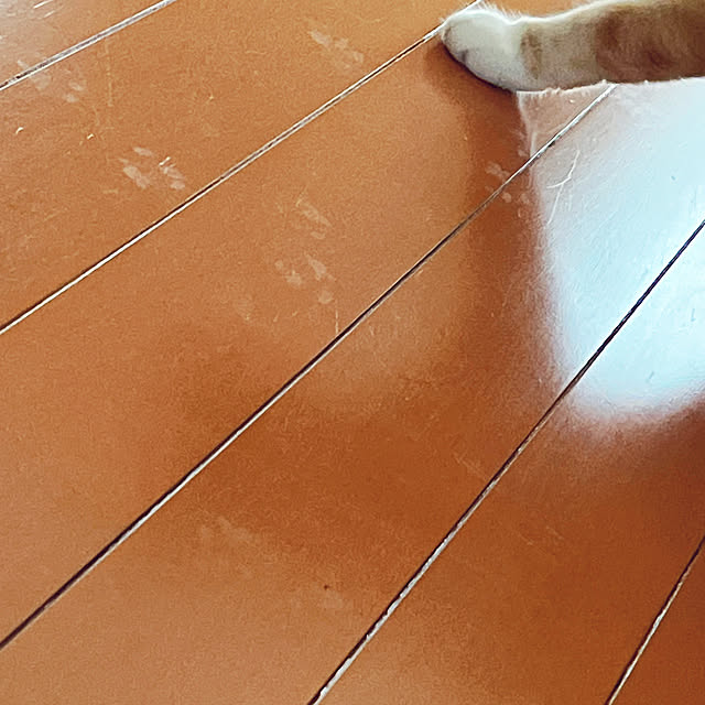 moolさんの部屋