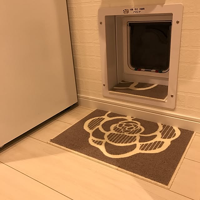 soraさんの実例写真