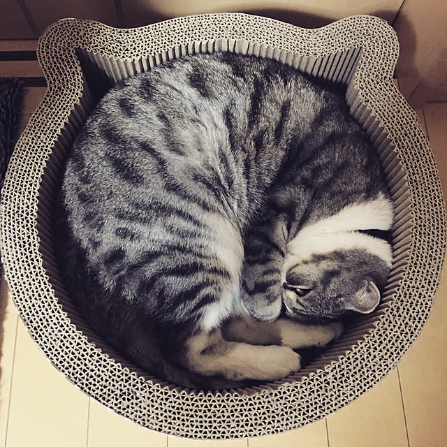 acoさんの実例写真