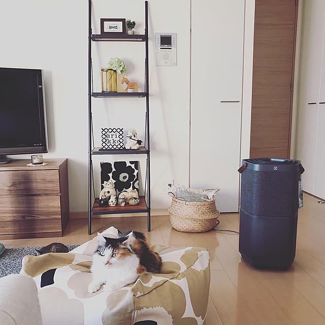 sumosarozaさんの実例写真