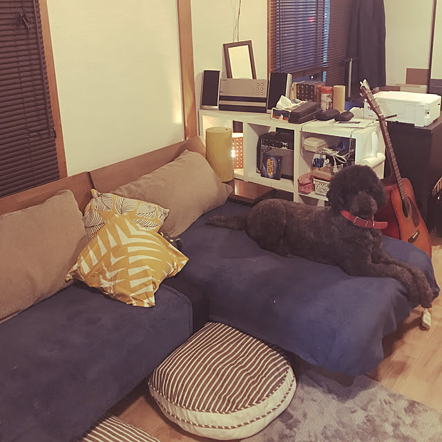 Youさんの実例写真