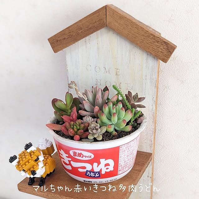 junさんの実例写真