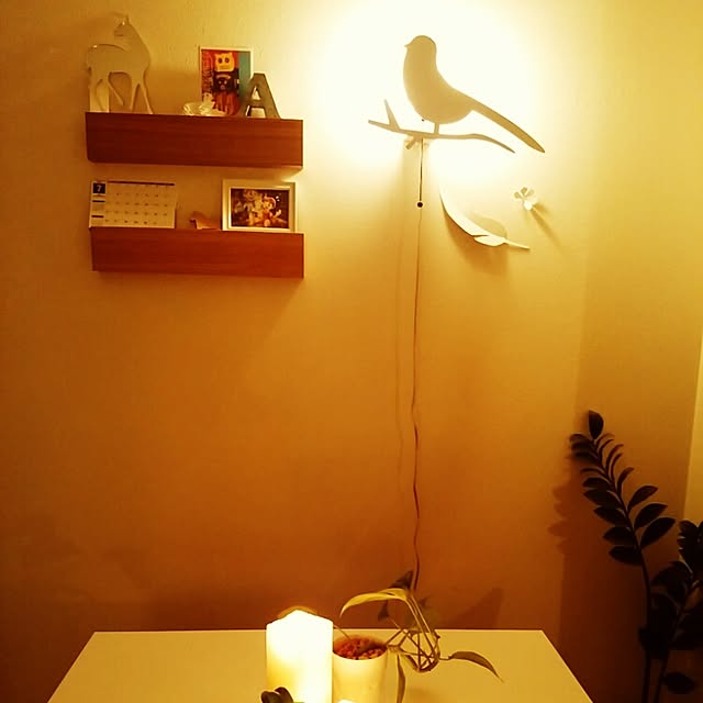 hiro_hiro_aさんの実例写真