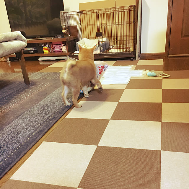 tanyuumoさんの実例写真