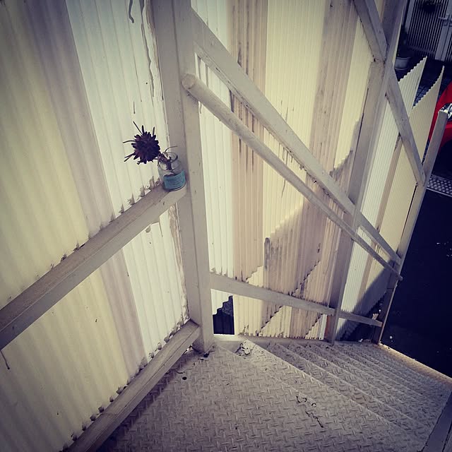 monoさんの実例写真