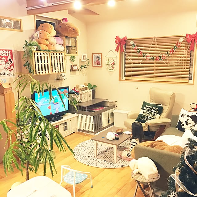 makoriさんの実例写真