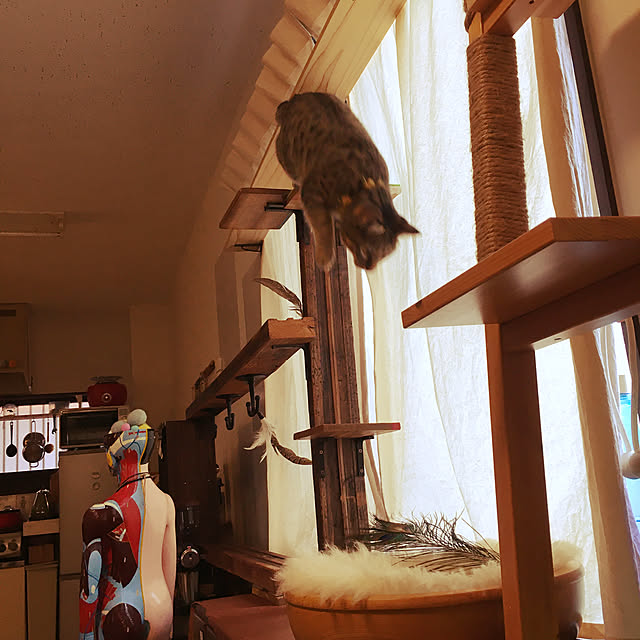 Mさんの実例写真