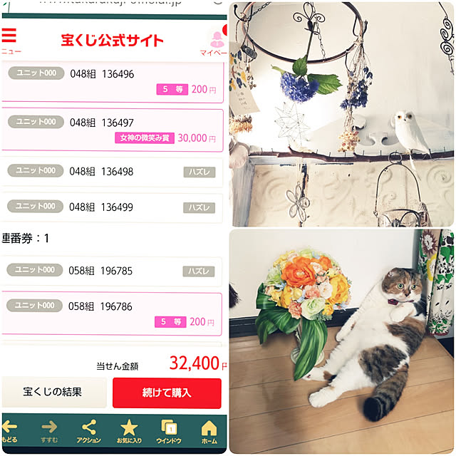 hiro3さんの実例写真