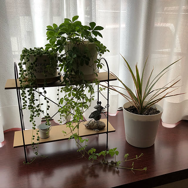 ckさんの実例写真