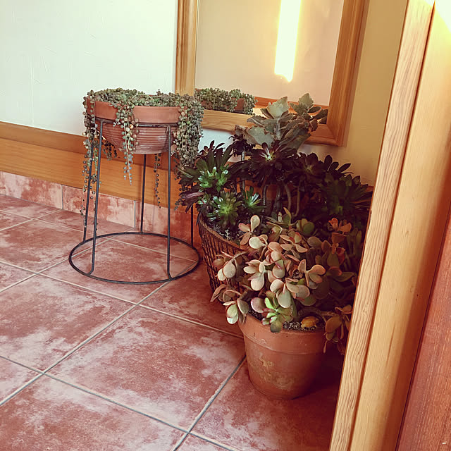 misacoさんの実例写真