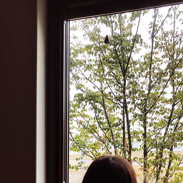 Nozomiさんの実例写真