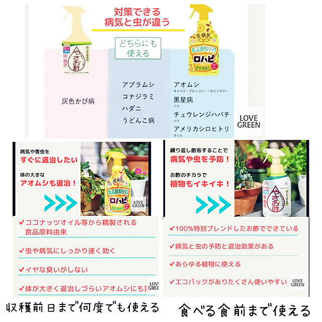 NAOさんの実例写真
