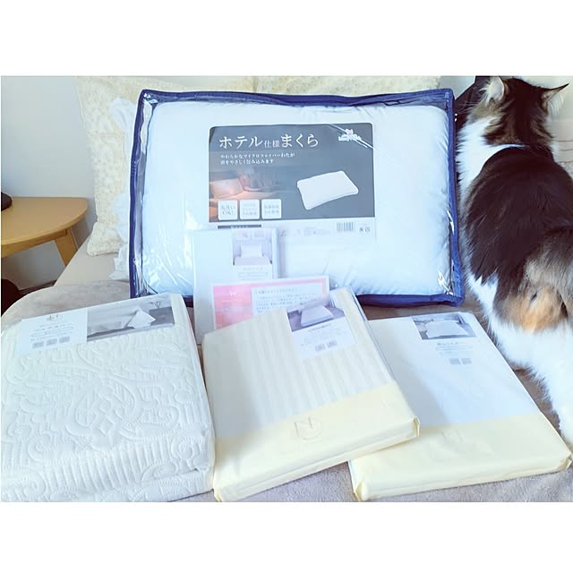 +CHIHARU+さんの部屋