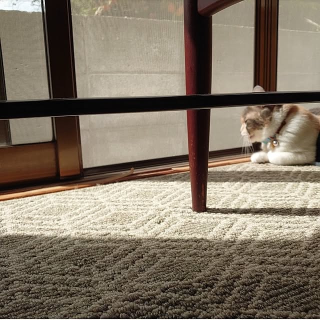 fukuさんの部屋