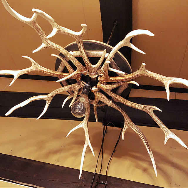 壁/天井のインテリア実例 - 2019-04-08 20:19:37
