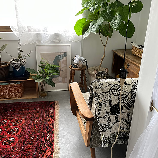 a.f.さんの部屋