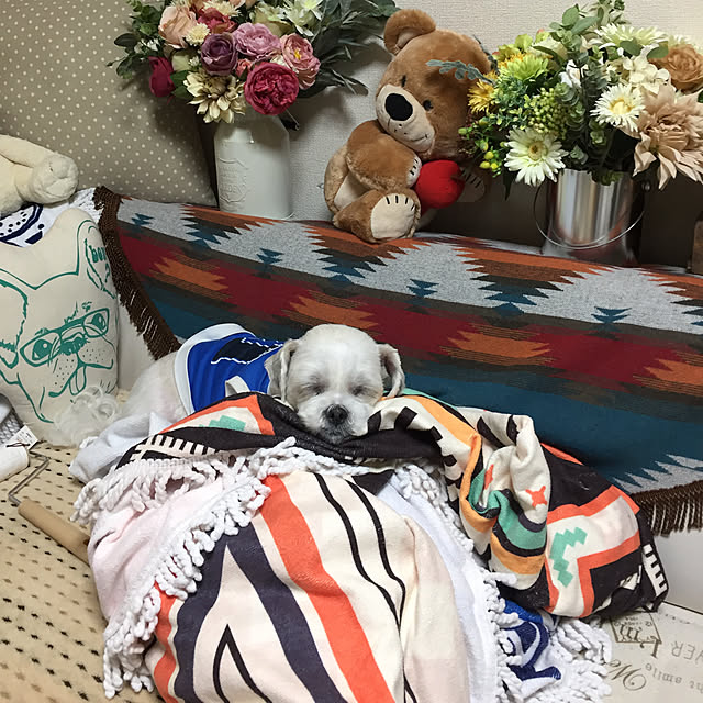 emiさんの実例写真