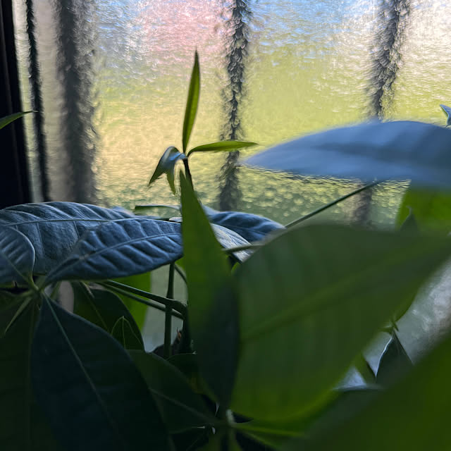 nachiさんの部屋