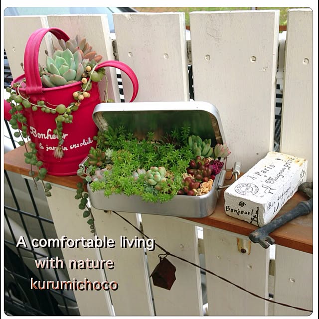 kurumichocoさんの実例写真