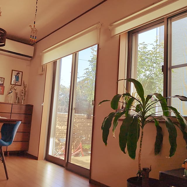 mikoさんの実例写真