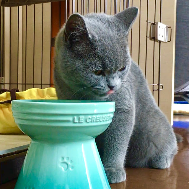 kittyさんの実例写真
