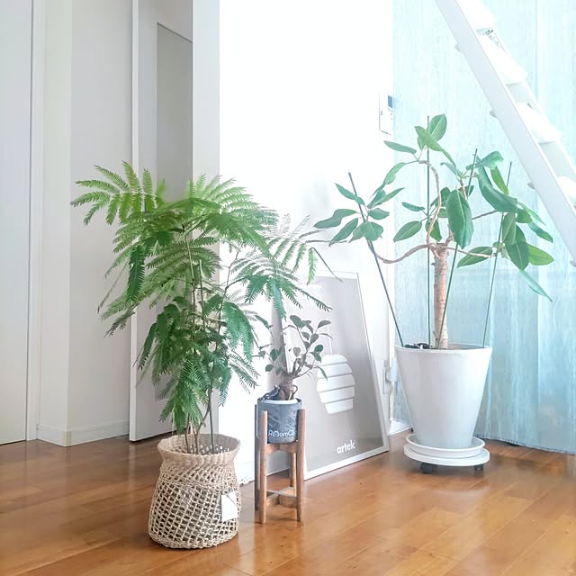 .Haさんの実例写真