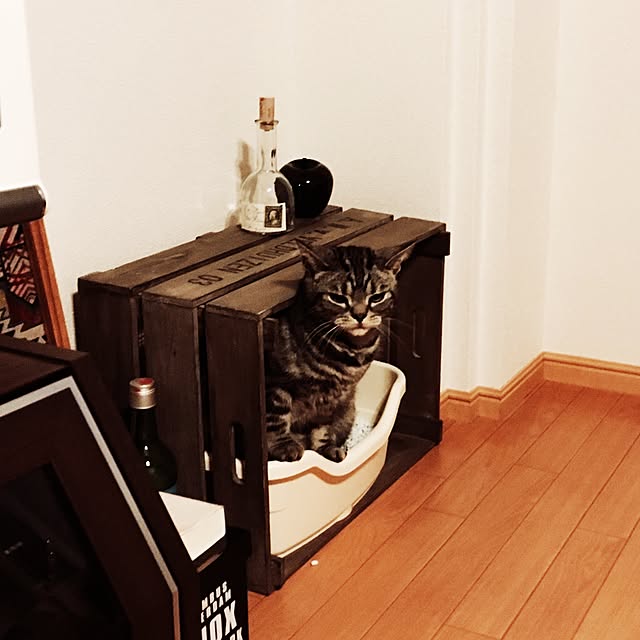 Chlokoさんの実例写真