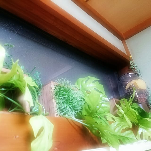 Ayakoさんの実例写真
