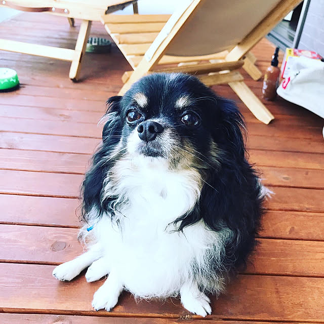 hiroroさんの実例写真