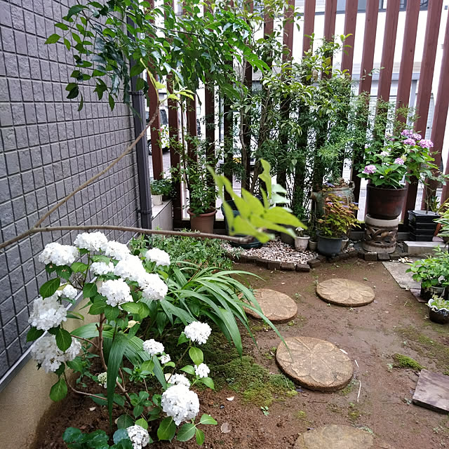 momowaka.さんの実例写真