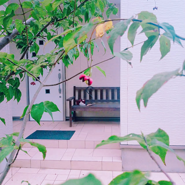 chocoさんの実例写真