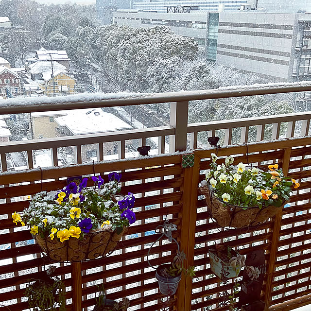 2.11maririnさんの実例写真