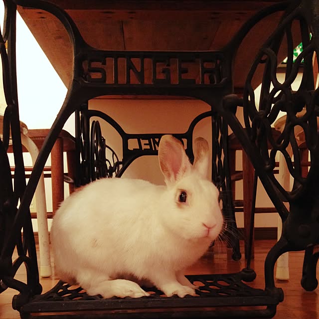 meさんの実例写真