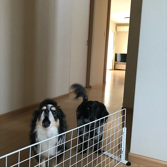 mkさんの実例写真