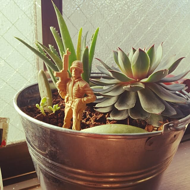 kamechanさんの実例写真
