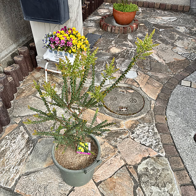 ayayayayaさんの実例写真