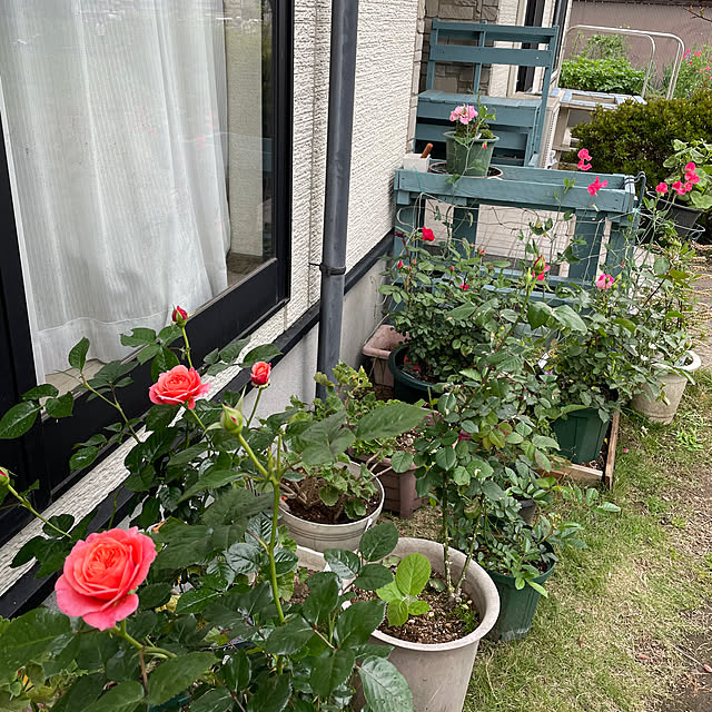 natsumiさんの部屋