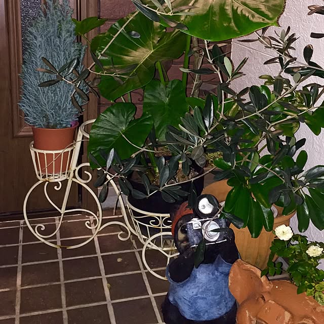 butachanさんの実例写真