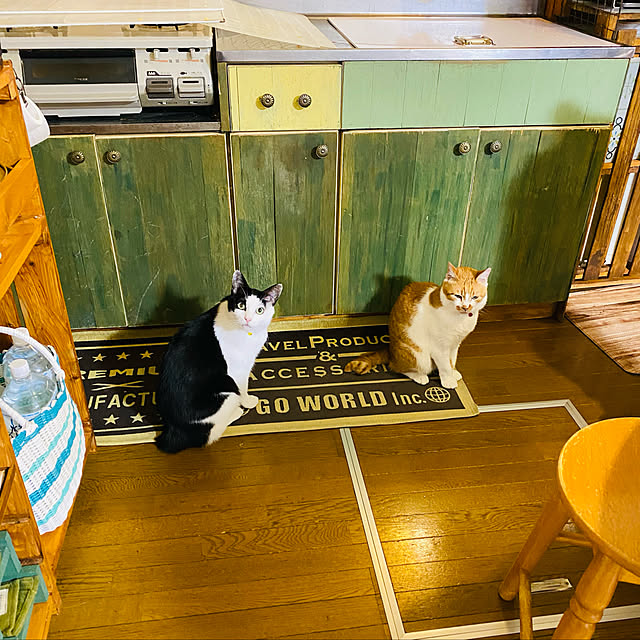 SHIHOさんの実例写真