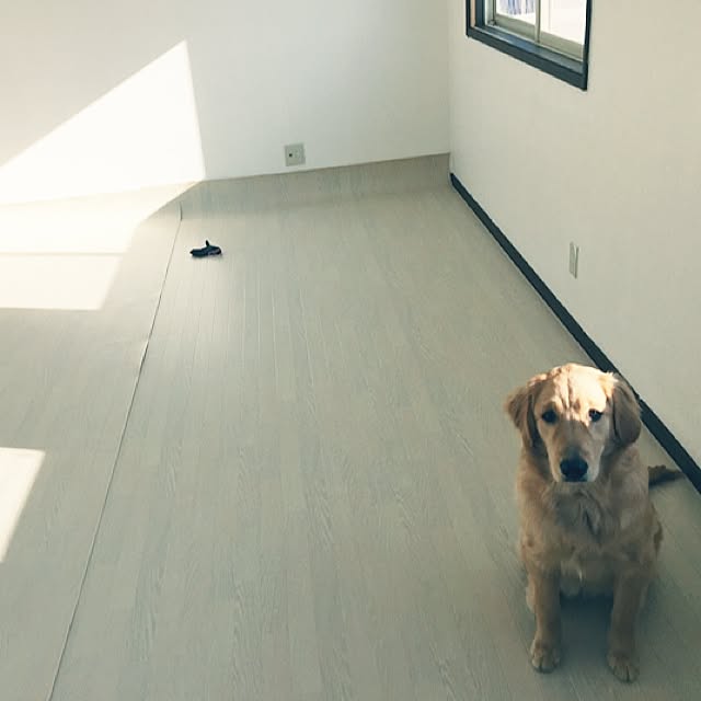 Mitsueさんの実例写真