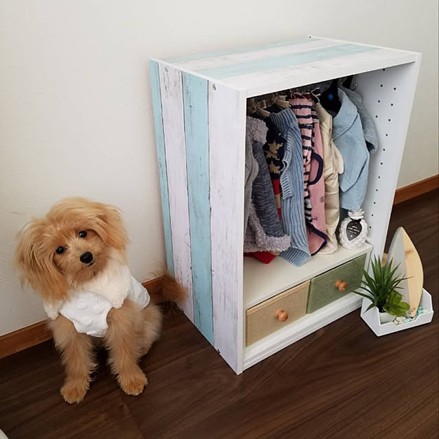 liryさんの実例写真