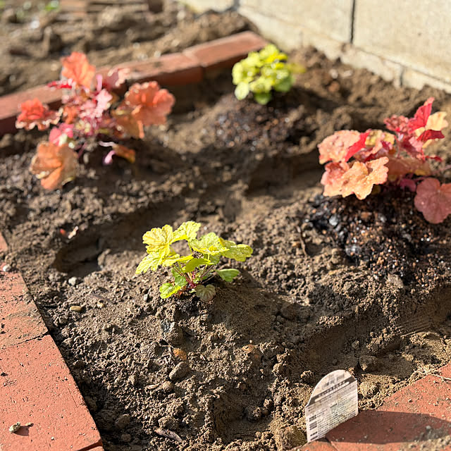 akkeyさんの部屋