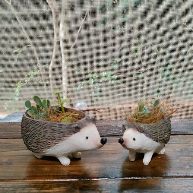 mori_6_12さんの実例写真